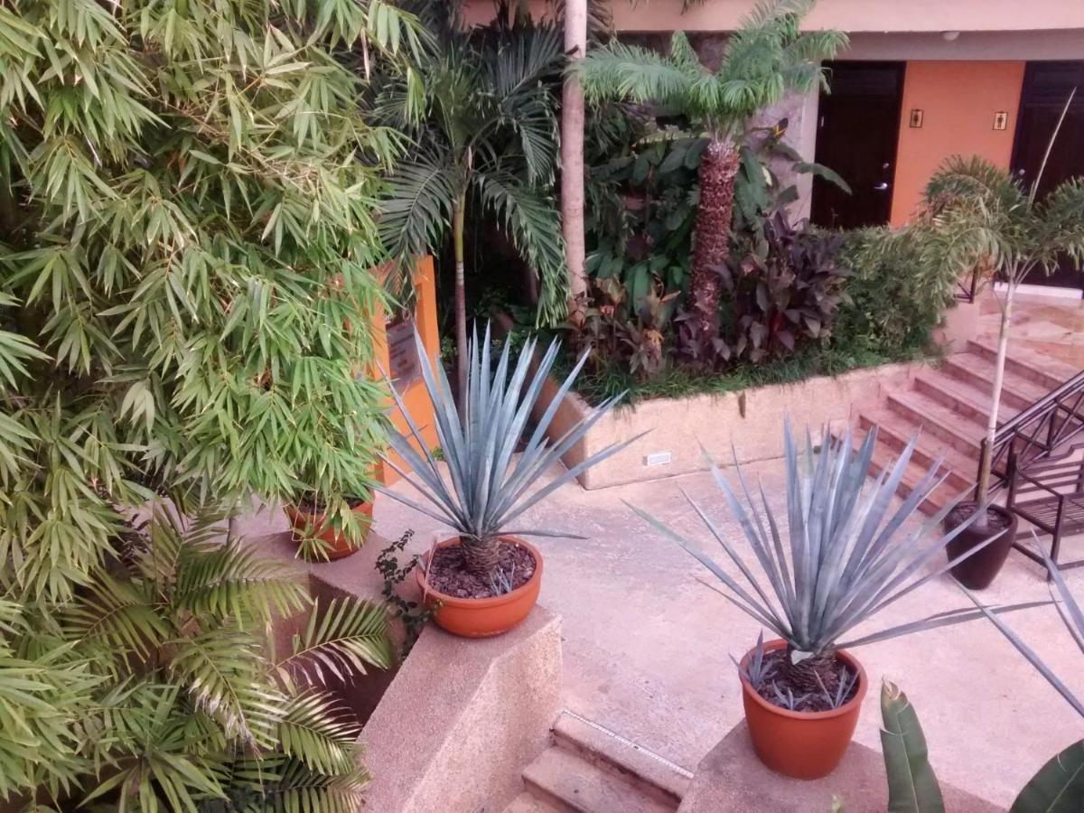 Hotel San Luis Lindavista Culiacán Exterior photo